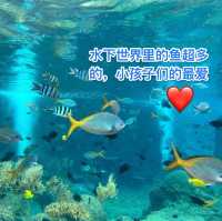 水上探险💦💦 就是那么好玩 ❤️