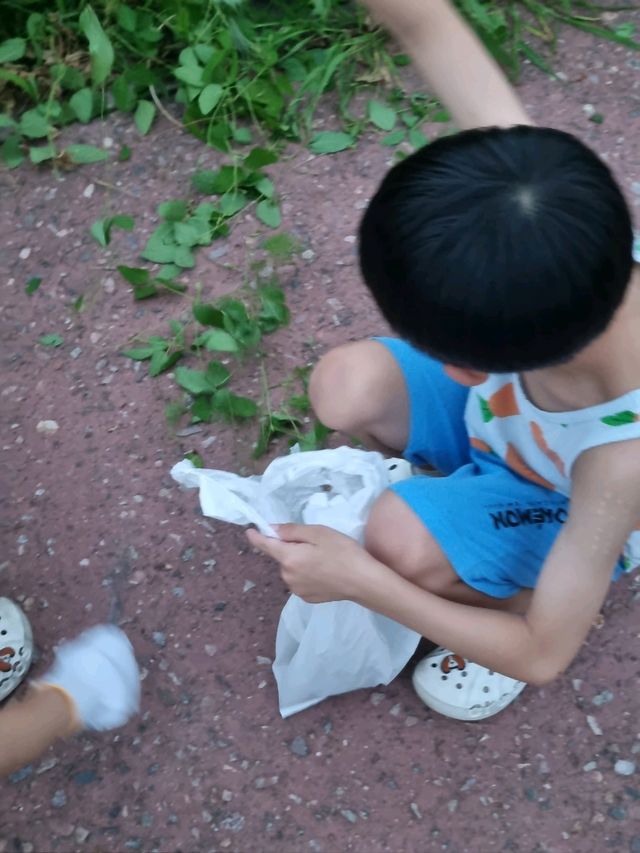 플로깅과 함께 즐기는 한강야생조류생태공원
