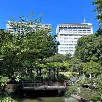 A peaceful pitstop near Harajuku 