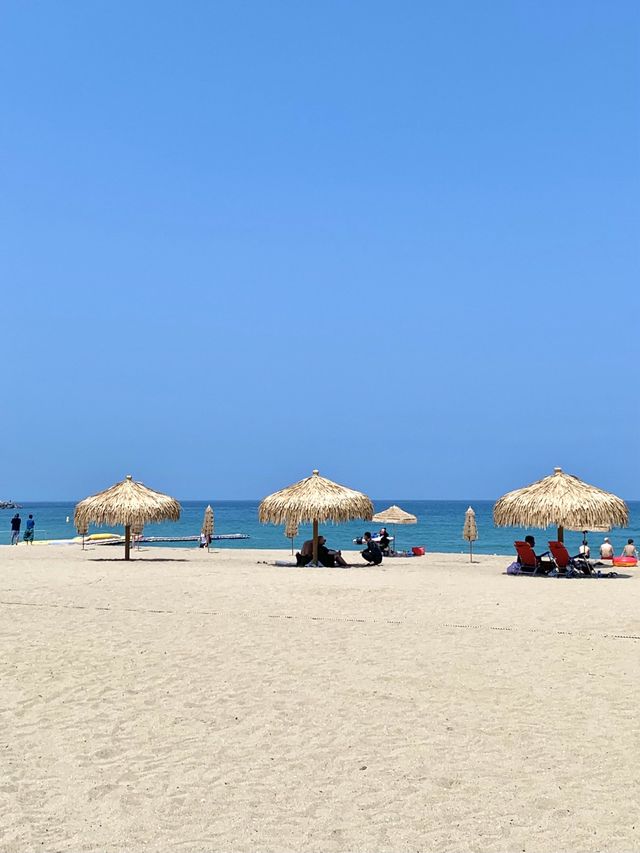 양양에서 제일 청량한 바다🌊 낙산해수욕장🏖️💙