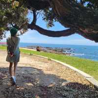 [포르토] 예쁜 공원이 가득한 포르토 해변 Passeio Alegre🏝️