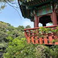 자연이 만든 신비 🌿 제주 용연계곡