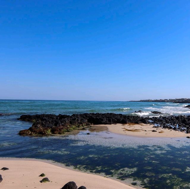 제주도는 파랗다