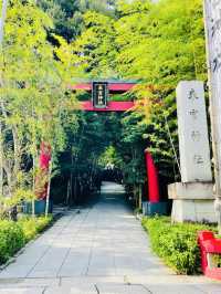 【静岡県/来宮神社】樹齢2100年の大楠が必見の神社
