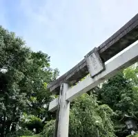 【絶景スポット】光の道！宮地嶽神社