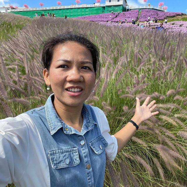 🌼🌼พักกายพักใจ💕💕ชมดอกไม้สวยๆๆ🪻🪻💐💐🌸🌼