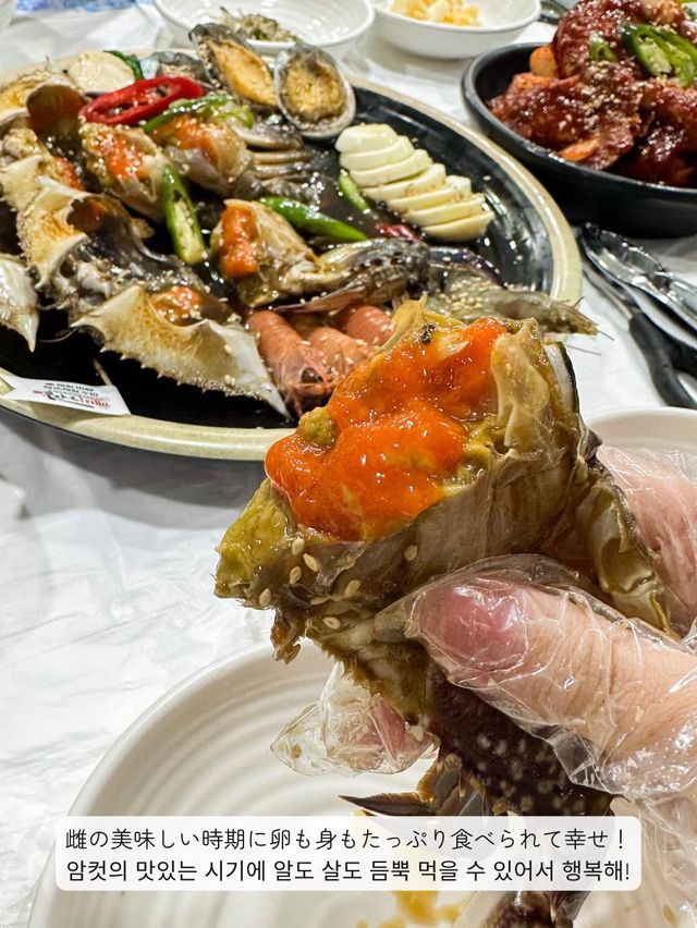 【韓国 / 麗水】麗水名物のケジャンを食べてきた！