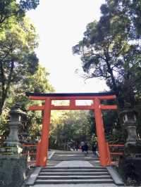 奈良公園賞楓🍁看鹿🦌