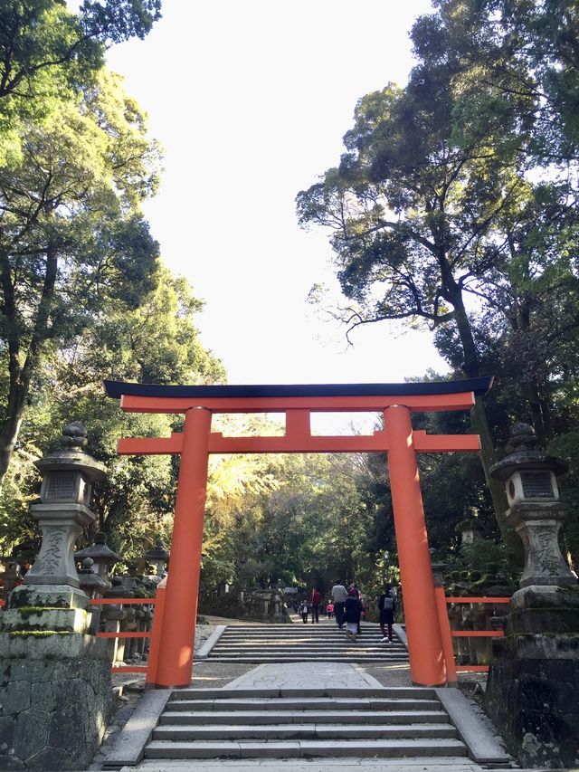 奈良公園賞楓🍁看鹿🦌