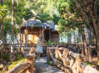สวนป่าแม่แจ่ม อ.แม่แจ่ม จ.เชียงใหม่