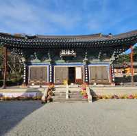 The Beauty Of Bogyeongsa Temple 