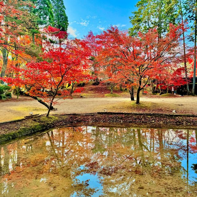 曽木公園