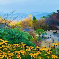 우리나라의 자랑스러운 세계문화유산 석굴암