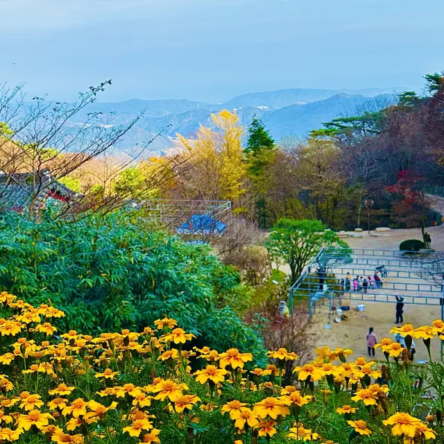 우리나라의 자랑스러운 세계문화유산 석굴암