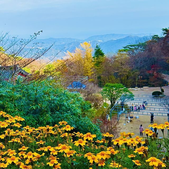 우리나라의 자랑스러운 세계문화유산 석굴암