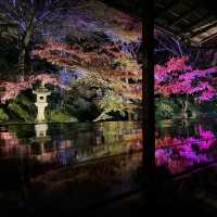 【京都】絶景！瑠璃光院の紅葉