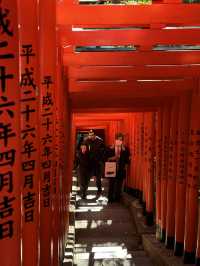 Visit Hie Shrine to see torii gates in Tokyo