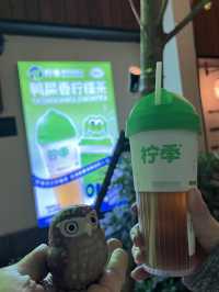 上海新景點👣蟠龍天地 許多文青網紅聚集地🫶🏻