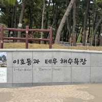 제주공항 바로 옆 예쁜 등대 스팟 이호테우