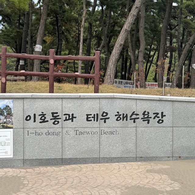 제주공항 바로 옆 예쁜 등대 스팟 이호테우