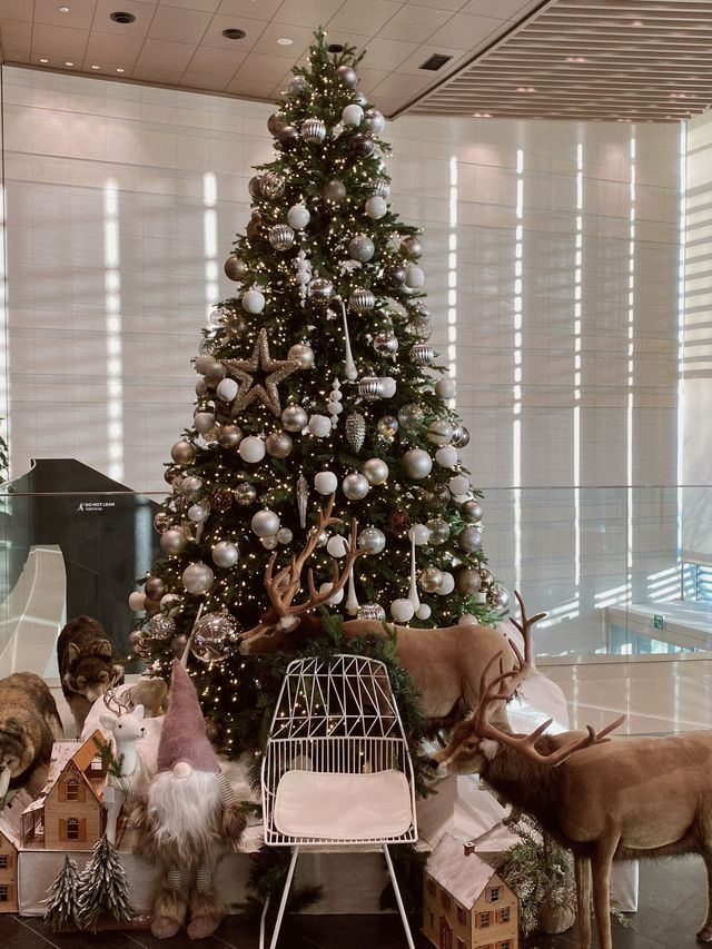 경주 보문호수 배경으로 남기는 크리스마스🎄
