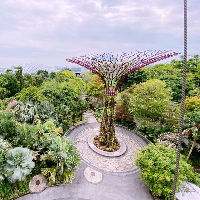 濱海灣花園(Gardens by the Bay)奇幻阿凡達之旅！