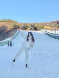 경남인도 눈이 보고싶었어요…