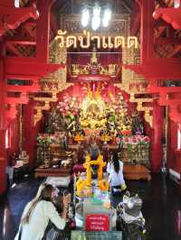 สายบุญ🌠สายมู ห้ามพลาด
