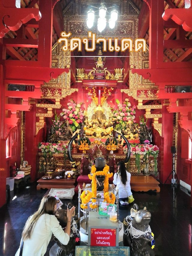 สายบุญ🌠สายมู ห้ามพลาด