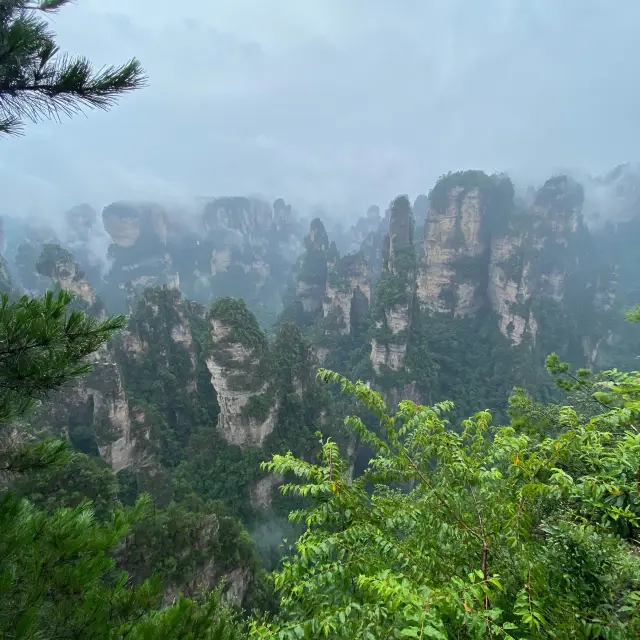 Gorgeous Avatar mountains (after rain)