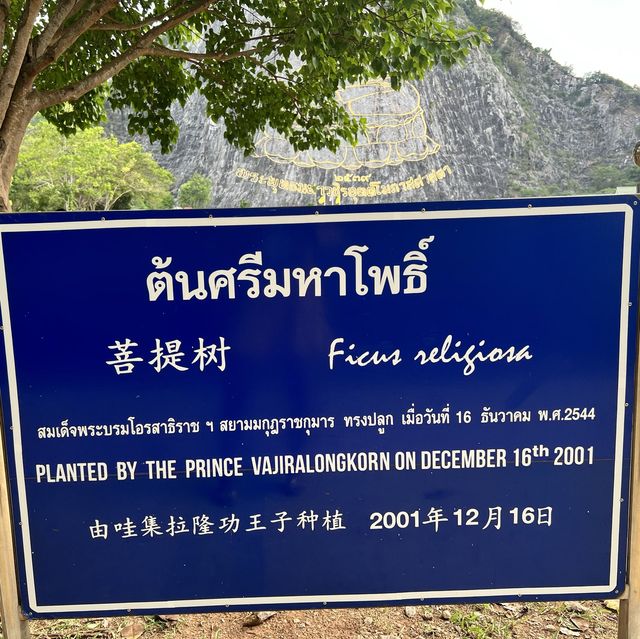 เขาชีจรรย์ พัทยา 