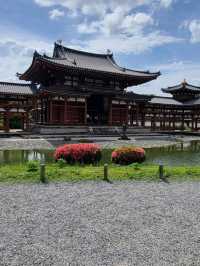 不走回頭路＞奈良＞宇治＞伏見稻荷大社一天遊