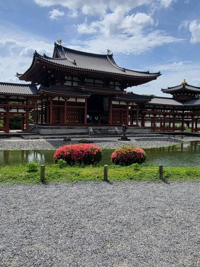 不走回頭路＞奈良＞宇治＞伏見稻荷大社一天遊