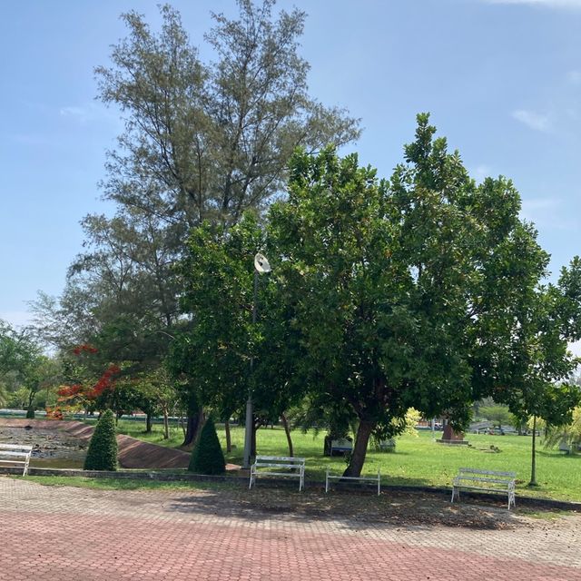 The City Park