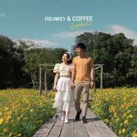 🌼 กระเพรา & coffee