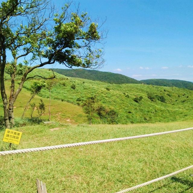Summer Hike to Yangmingshan