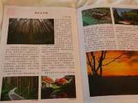 絕美仙境-溪頭杉林溪