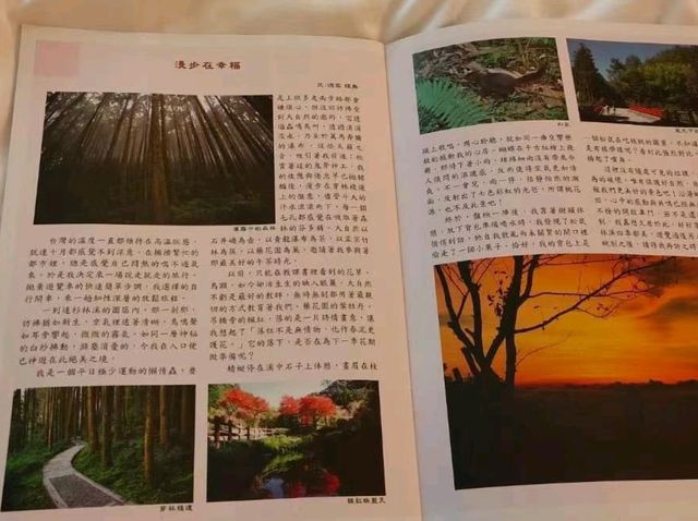 絕美仙境-溪頭杉林溪