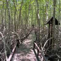 เส้นทางธรรมชาติ ป่าเลนปากน้ำปราณ