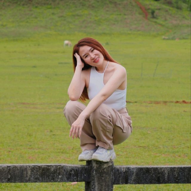 “ระนอง” ไม่ได้มีดีแค่ทะเล 🌾