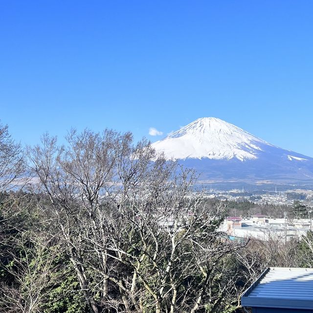 美味しすぎるハンバーグと綺麗な富士山