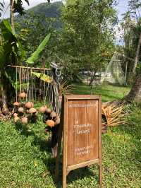 ในสวนศรี พัทลุงบ้านฉัน แหล่งเรียนรู้กิจกรรมต่างๆ