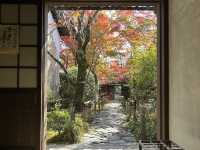 【京都】絶景ながらマイナー観光スポット！蓮華寺をご紹介