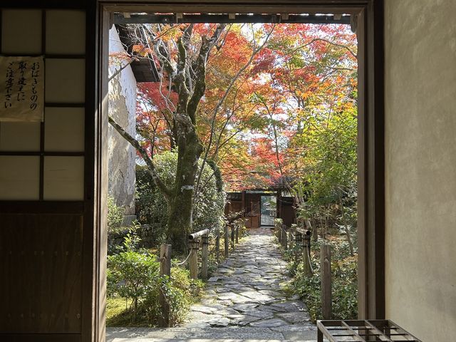 【京都】絶景ながらマイナー観光スポット！蓮華寺をご紹介