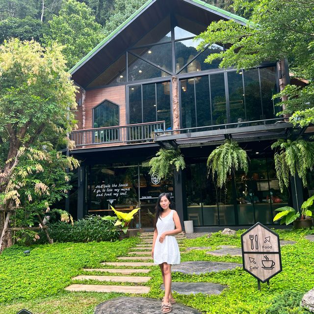 Into the Forest Krabi