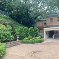 鬧市中的綠色花園｜香港公園