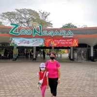 zoo time with family