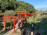 高山稻荷神社：美景，特色鳥居，適合任何時間和場景