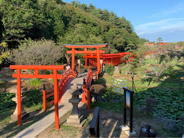高山稻荷神社：美景，特色鳥居，適合任何時間和場景