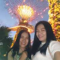 Supertree Grove ต้นไม้ยักษ์สิงคโปร์